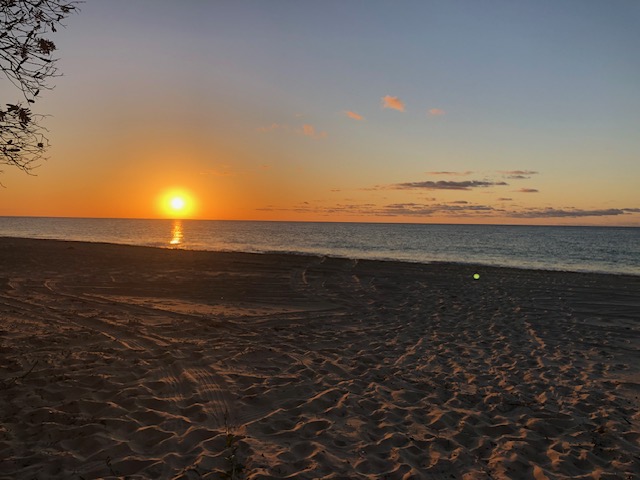88782FDD-5F08-4415-AAE4-C30D97BE110D Shearwater on K'Gari - Sandy Cape Sunset