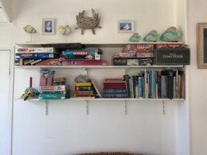 Shearwater on K'Gari - Games Shelf